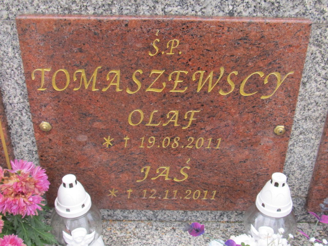 Jan Tomaszewski 2011 Chełmno - Grobonet - Wyszukiwarka osób pochowanych